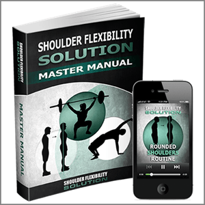 Shoulder Flexibility System