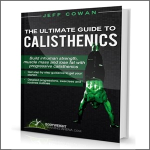 ULTIMATE GUIDE to Calisthenics
